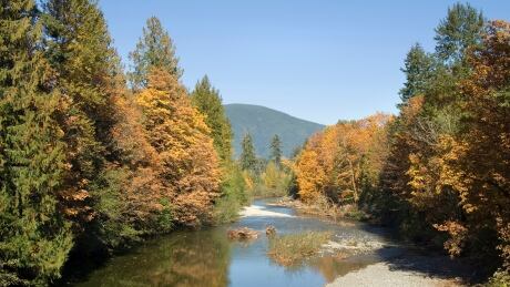 Canada, British Columbia, Cowichan Valley. The Robertson River leading into Cowichan Lake Cowichan Lake