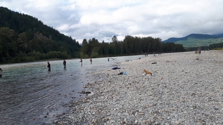 Squamish River & Tributaries - BC Fishing Journal