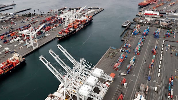 China exempts some U.S. imports from 125% tariff rate | CBC News