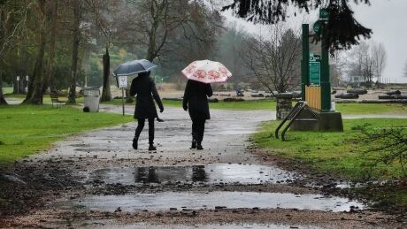 vancouver rain puddles