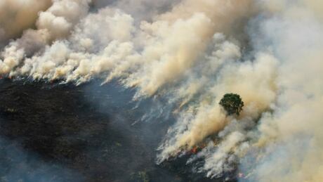 Smoke billows from a forest fire burning in Tapin regency near Banjarmasin, South Kalimantan province, Indonesia, August 29, 2019. INDONESIA-ENVIRONMENT/