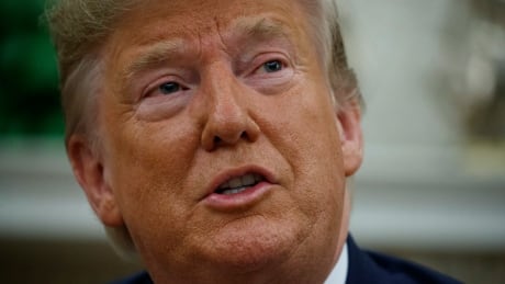 Despite allegations of extramarital affairs, sexual misconduct and assault and racist comments, actions that may have felled other politicians, U.S President Donald Trump survives. Trump US Australia State Visit