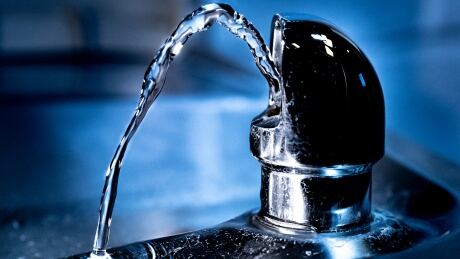 Epcor has temporarily stopped adding fluoride to water as it upgrades tanks at its E.L. Smith Water Treatment Plant. Tap water