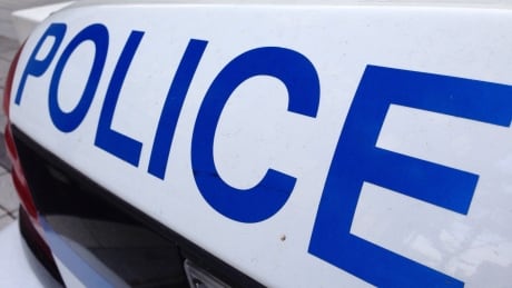 The Toronto police chief is urging the public to abide by provincial stay-at-home orders. Toronto police car