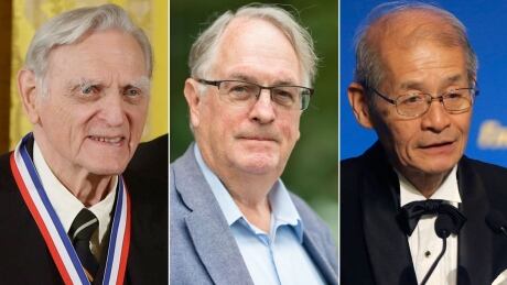 The 2019 Nobel Prize in Chemistry was awarded to John B. Goodenough, left, M. Stanley Whittingham, centre, and Akira Yoshino. Nobel Prize Chemistry 2019