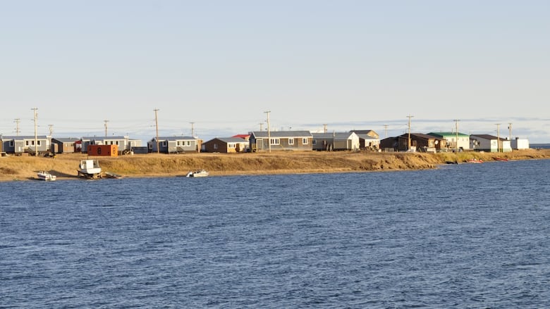 Ocean and houses on shore.