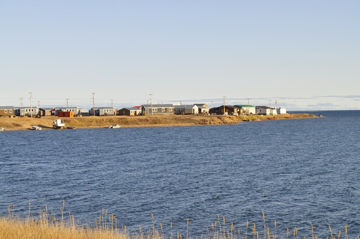 Ocean and houses on shore.