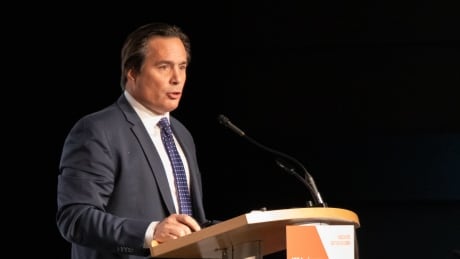 Keith Henry is the president of the Indigenous Tourism Association of Canada. Henry says more needs to be done to build capacity for Indigenous-led tourism operators. World Indigenous Business Forum