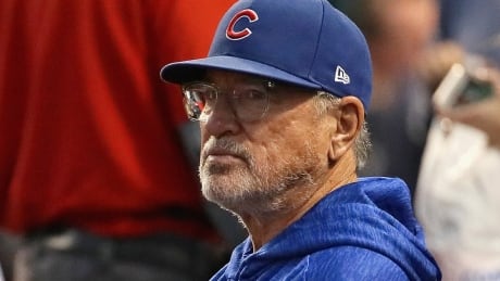 Former Cubs manager Joe Maddon will work in the same role with the Angels to start next season. The 65-year-old signed with the Angels as an undrafted catcher in 1975, and he spent the next 31 years working at almost every level of the organization as a player, coach and manager.
maddon-joe-180912-1180