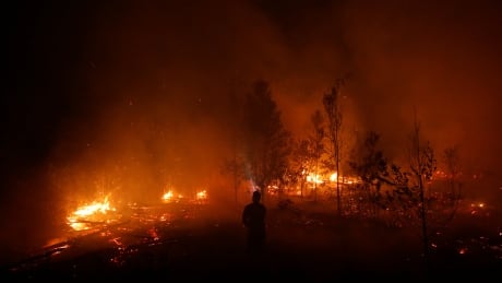 A firefighter tries to extinguish forest fires at Sebangau National Park area in Palangka Raya, Central Kalimantan province, Indonesia, September 14, 2019. SOUTHEASTASIA-HAZE/FIREFIGHTERS