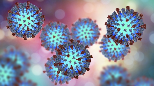 Public Health declares measles outbreak in western New Brunswick; Measles viruses\. 3D illustration showing structure of measles virus with surface glycoprotein spikes heamagglutinin-neuraminidase and fusion protein\.