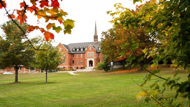 Colleges and universities in northeastern Ontario suspend programs, with sharp drop in international students