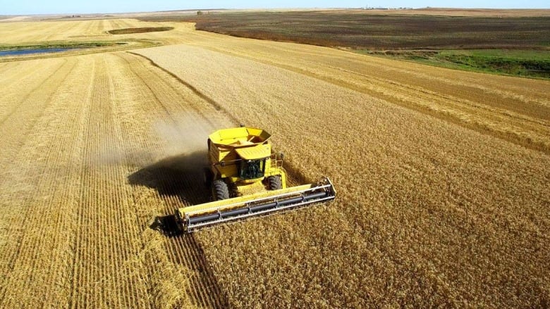 Corn harvest - Ontario Grain Farmer