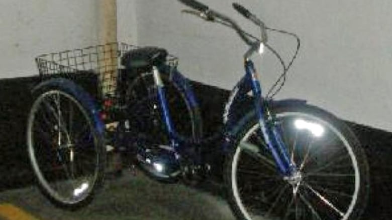 schwinn meridian tricycle canada