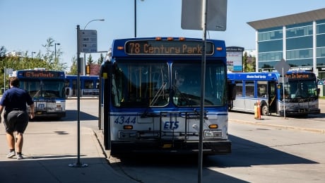 Edmonton Transit Service Advisory Board wants to make transit inclusive and safe for BIPOC individuals. On Tuesday, they presented Urban Planning Committee with three recommendations on how to make that happen. Edmonton Stox - Mill Woods transit station