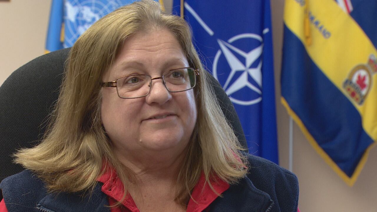 Richmond Hill Councillor On Remembrance Day Banner Slammed For Not