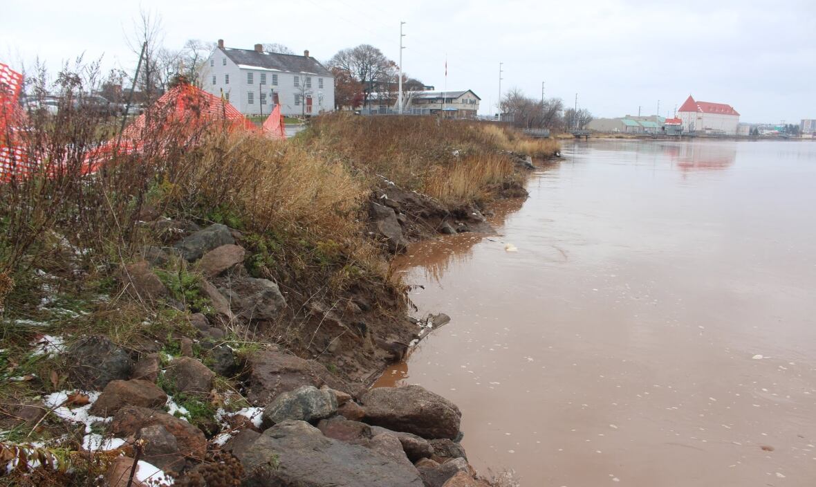 Moncton plans to shore up eroding Petitcodiac riverbank to protect