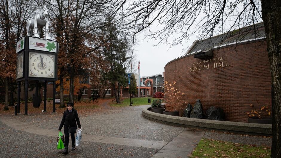Maple Ridge Area Code Codes Of Conduct In Local Government Are Being Used To Quash Dissent,  Critics Say | Cbc News