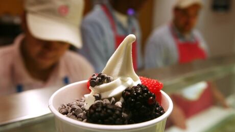 A cup of Pinkberry's frozen yogurt, topped with raspberries, blackberries and chocolate chips, is shown on Friday, Aug. 8, 2008, in New York. Business of Life