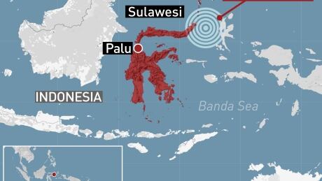 Indonesia earthquake