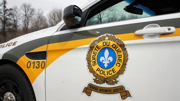 15-year-old boy dies in Donnacona, Que., after being hit by car