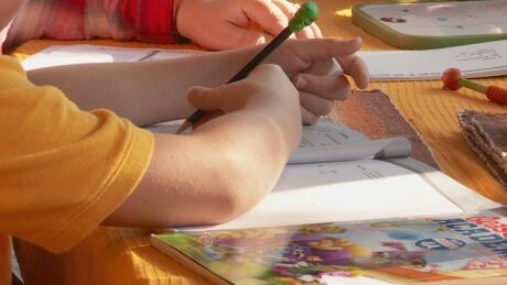 The Canadian Coalition for Children's Rights argues without that without government oversight, it's difficult to know whether home schooled children are being provided with even a basic education. home school