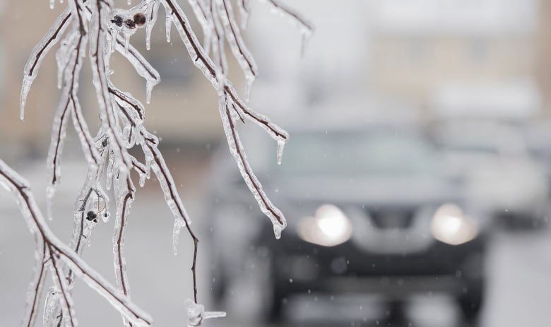 Kind Of Sad Christmas Weather In Hamilton Meteorologist Says Cbc News