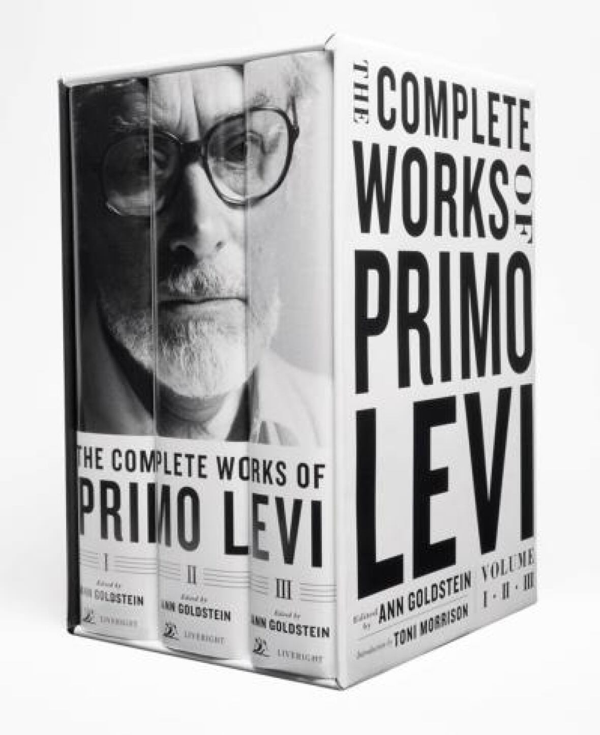 Primo levi wiki picture