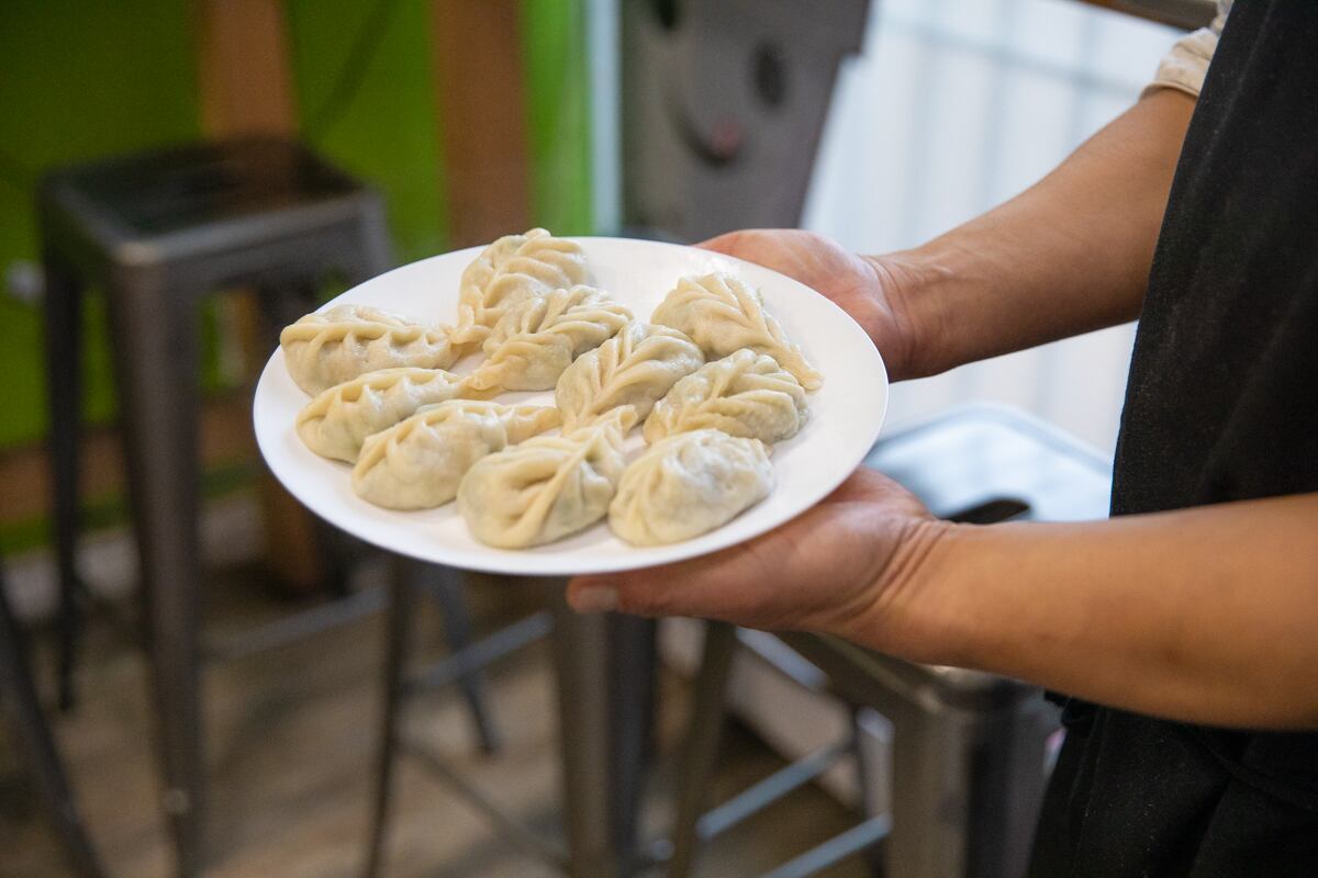 These Momos Are Inspired By Life In Parkdale Cbc News These Momos Are Inspired By Life In Parkdale Cbc News