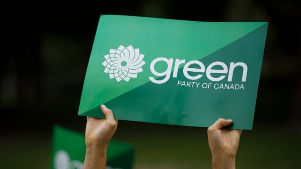 N.B. Green supporters vying for federal council seat amid party leadership turmoil