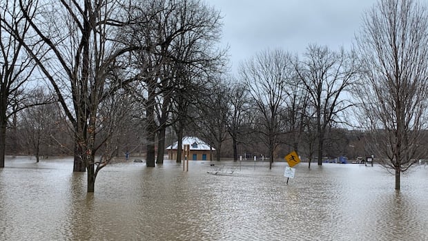 Rain and freezing rain on the way for London region