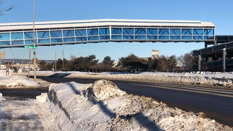 Future of Marina Park pedestrian overpass under scrutiny | CBC News