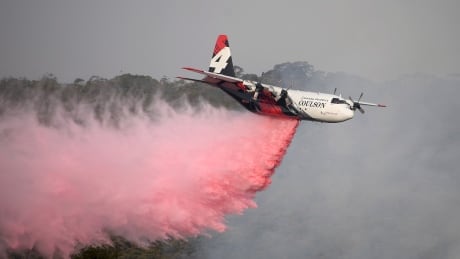 In this Jan. 10, 2020, photo, Rural Fire Service large air tanker 134, operated by Coulson Aviation in the U.S. state of Oregon, drops fire retardant on a wildfire burning close to homes at Penrose, Australia. Three American crew members died Thursday when this C-130 Hercules aerial water tanker crashed.
Australia Wildfires
