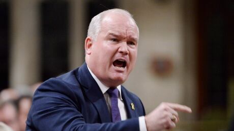 Conservative MP Erin O'Toole rises during question period in the House of Commons Dec.13, 2018. Question Period 20181213