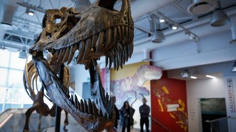 Travel Log Drumheller 20200127