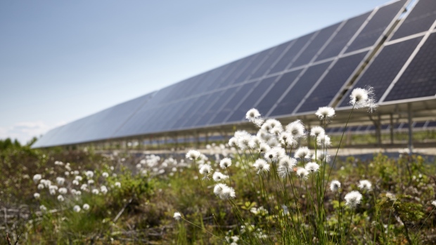 How Old Crow's solar farm is changing green energy projects in Yukon; 