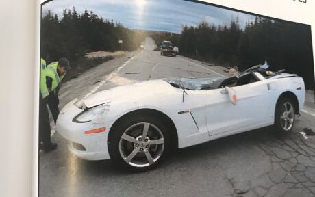 Brandon Quilty to be sentenced March 12 for high-speed joyride that