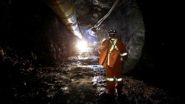 Ontario's mining sector caught up in tariff uncertainty