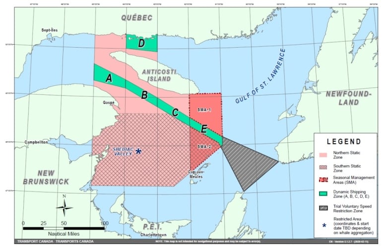 Feds asking ships to slow down in Cabot Strait to protect right whales ...