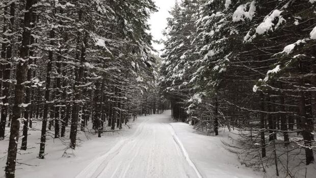 Sudbury-area snowmobile club says many riders didn't purchase permits this last season