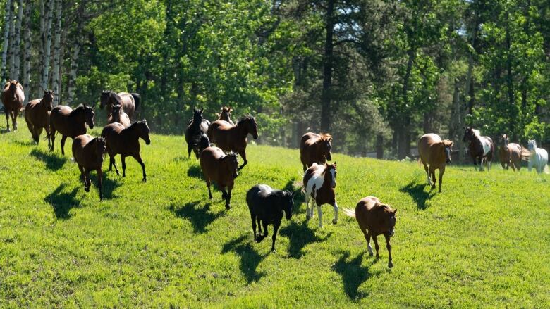 heartland set visit