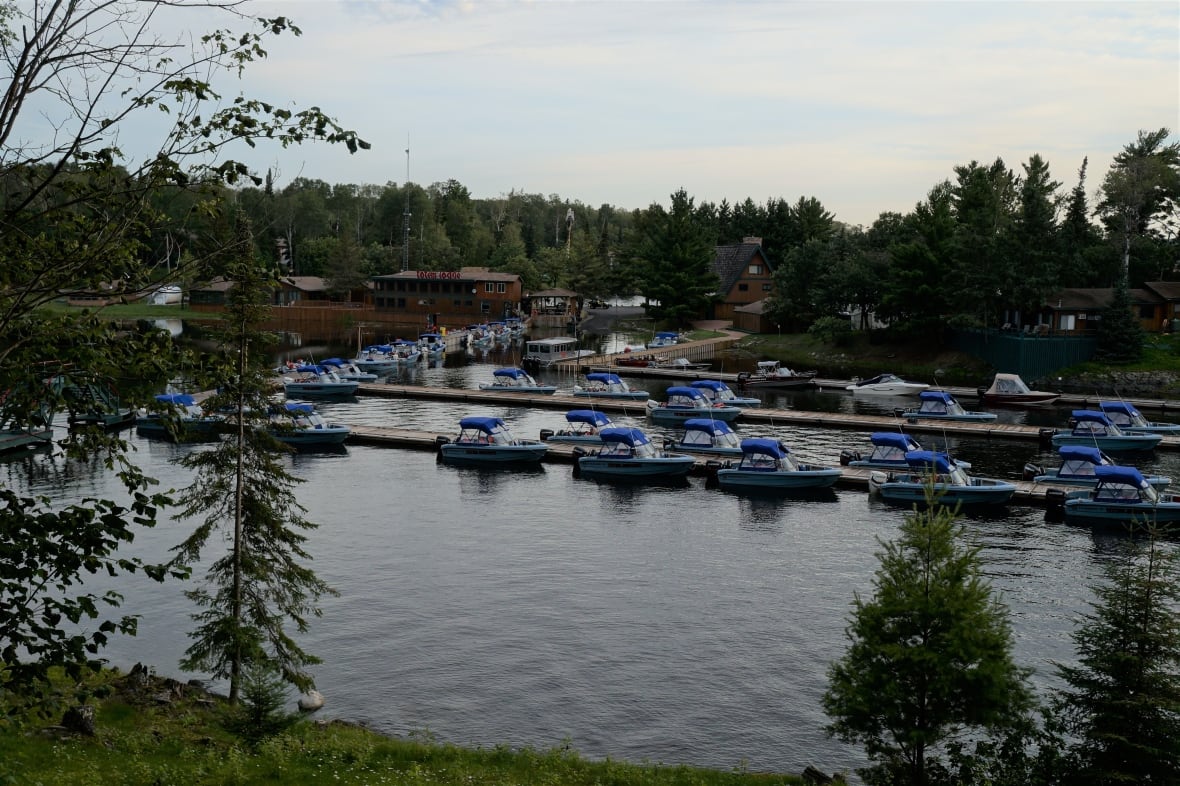 numerous boats with blue covers sit against a dock