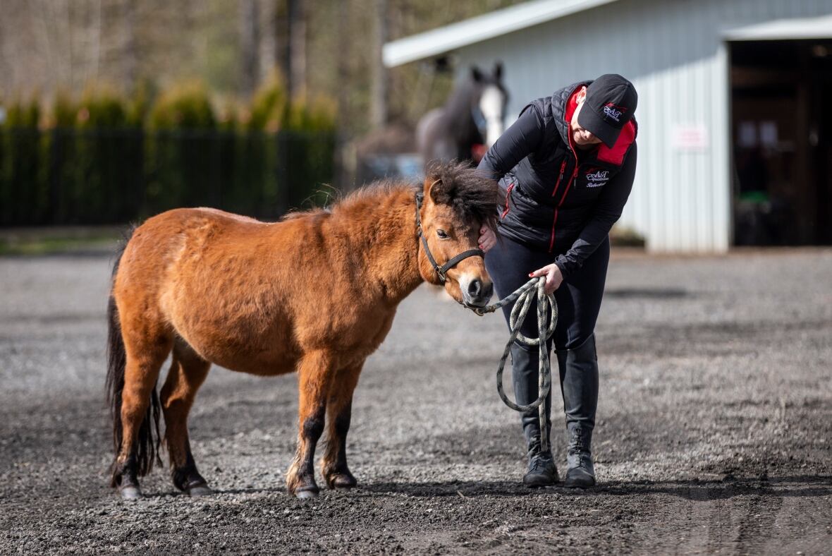 Shut down by coronavirus, this Surrey riding ranch is back in the saddle — online CBC News