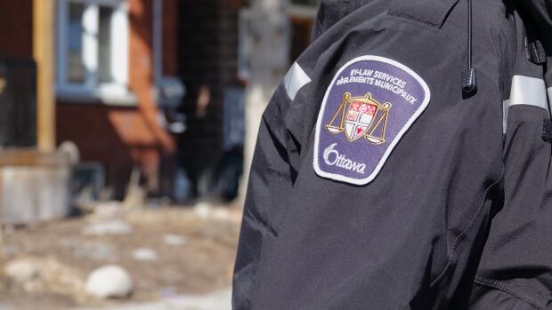 Bylaw call volume not 'sustainable,' says department head | CBC News