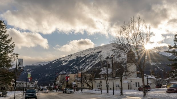 Days after heat wave, up to 40 cm of snow expected in Alberta's mountain parks
