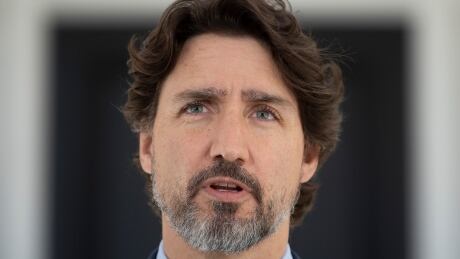 Prime Minister Justin Trudeau is seen during his daily news conference outside Rideau Cottage in Ottawa, Thursday May 14, 2020. THE CANADIAN PRESS/Adrian Wyld COVID Canada 20200514
