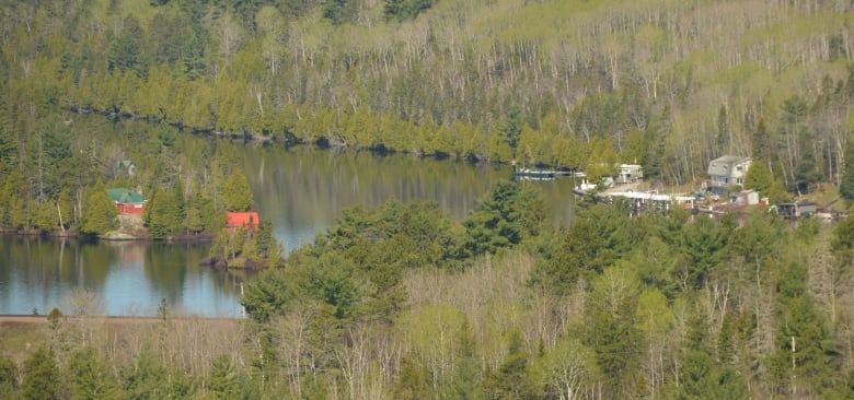 An above view of a few cottages on a lake surrounded by forest. 