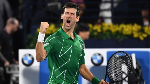 novak djokovic believes   break  grand slam record cbc sports