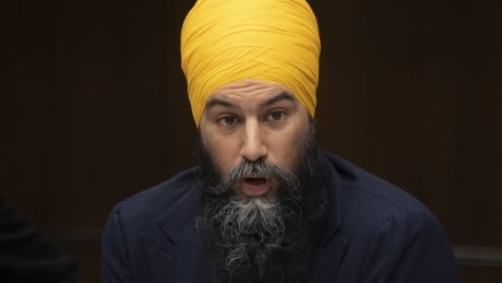 NS NDP Jagmeet Singh 20200229