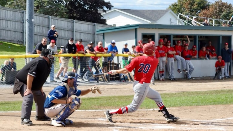 New Brunswick Senior Baseball League cancels 2020 season CBC News